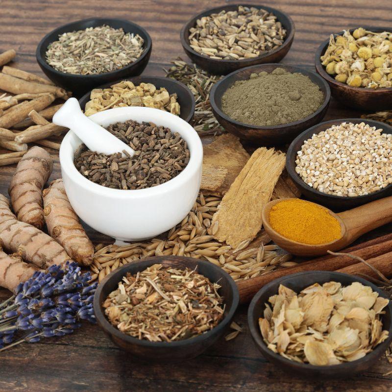 Hongos y Adaptógenos