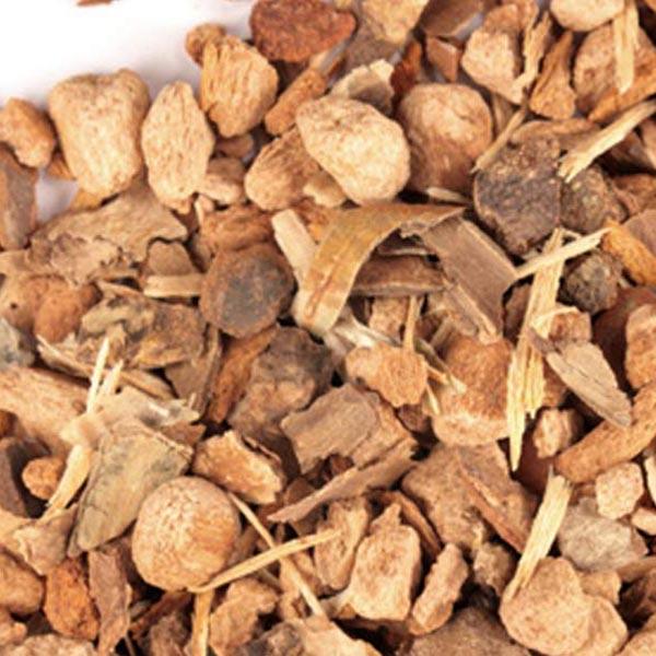 Abedul Raiz - Hierbas Orgánicas de México