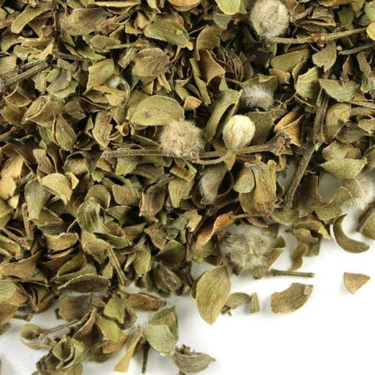 Gobernadora - Hierbas Orgánicas de México