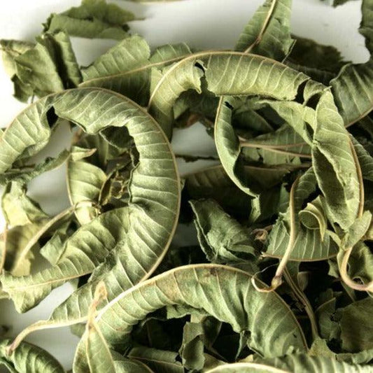 Hierba Luisa - Hierbas Orgánicas de México