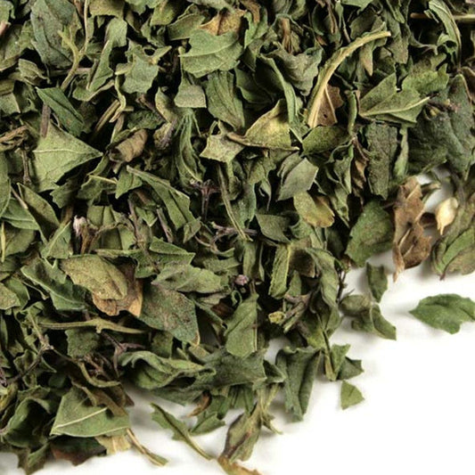 Menta Orgánica - Hierbas Orgánicas de México