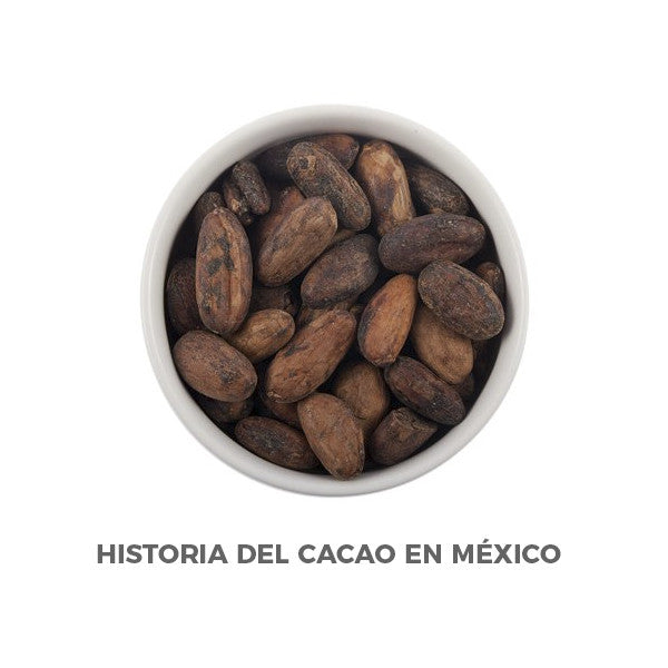 Historia del Cacao en México