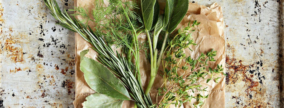 Conoce cuales son las hierbas más utilizadas en el mundo - Hierbas Orgánicas de México