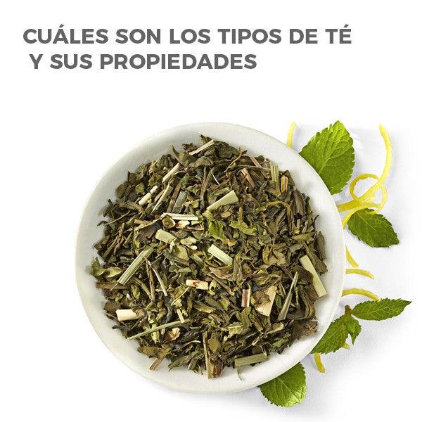 Cuáles son los Tipos de Té y sus propiedades - Hierbas Orgánicas de México