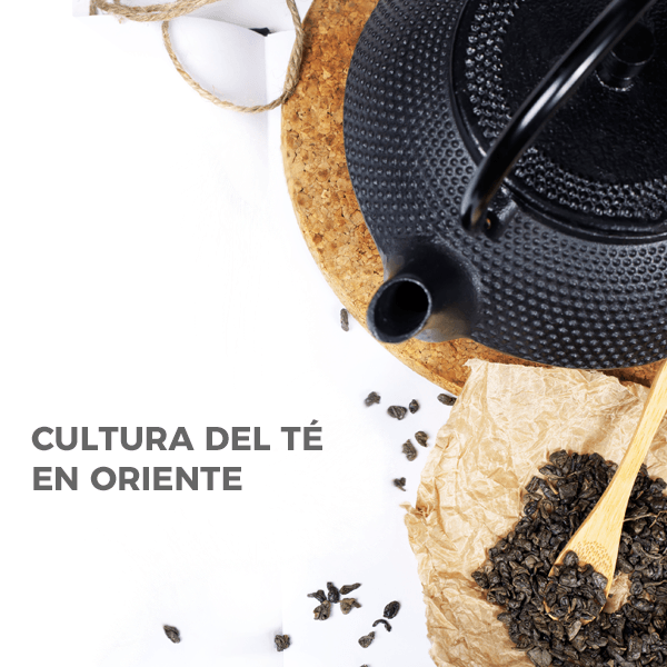 Cultura del Té en Oriente - Hierbas Orgánicas de México