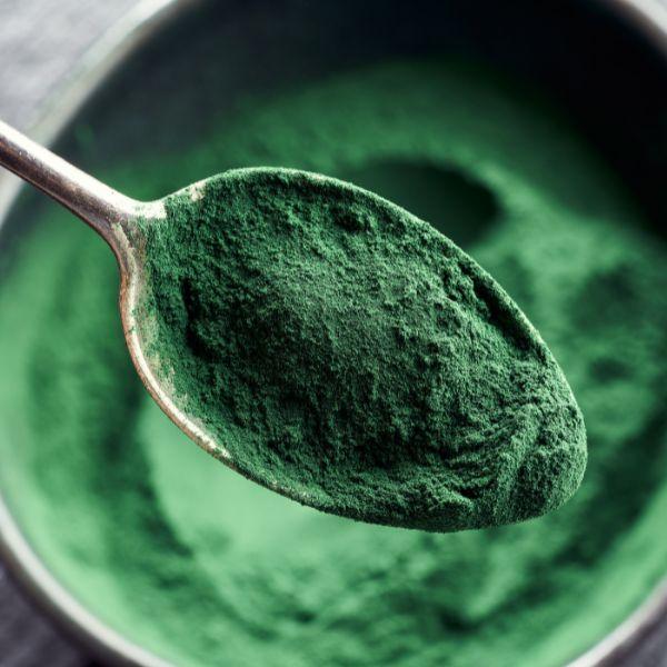 Diferencias entre la Espirulina y la Chlorella - Hierbas Orgánicas de México