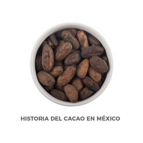 Historia del Cacao en México - Hierbas Orgánicas de México