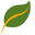 Hierbas Orgánicas logo