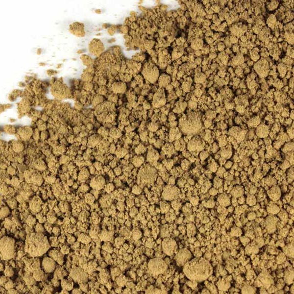 Ginkgo Biloba en Polvo