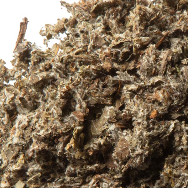 Hoja de Bardana