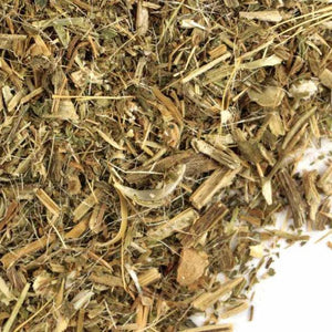 Cardo Bendito - Hierbas Orgánicas de México