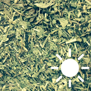 Detox 28 Días Día/Noche - Hierbas Orgánicas de México