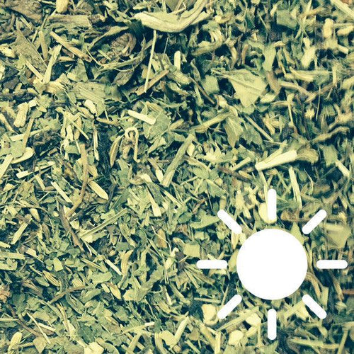 Detox 28 Días Día/Noche - Hierbas Orgánicas de México